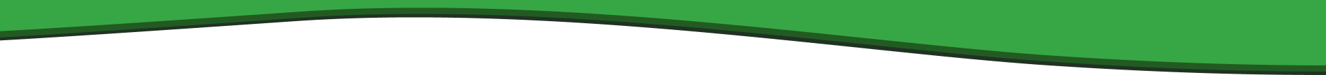 Curved green line that is a design element image to separate the footer from the association carousal.