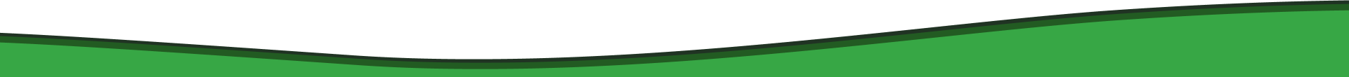 Bolder green wavey lines and design element use to break up the setions. 